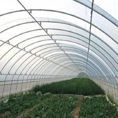 育苗大棚施工成本与鸭子养殖大棚价格解析 每亩预算多少？